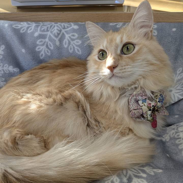 D11e6aa9 4104 4dca 9626 329c1edacda4 1763362155794