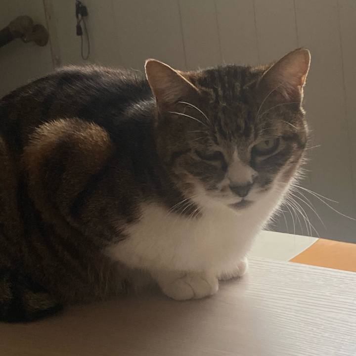 D11e8be1 ea18 4a02 9a00 937a2573923b 1716077877802