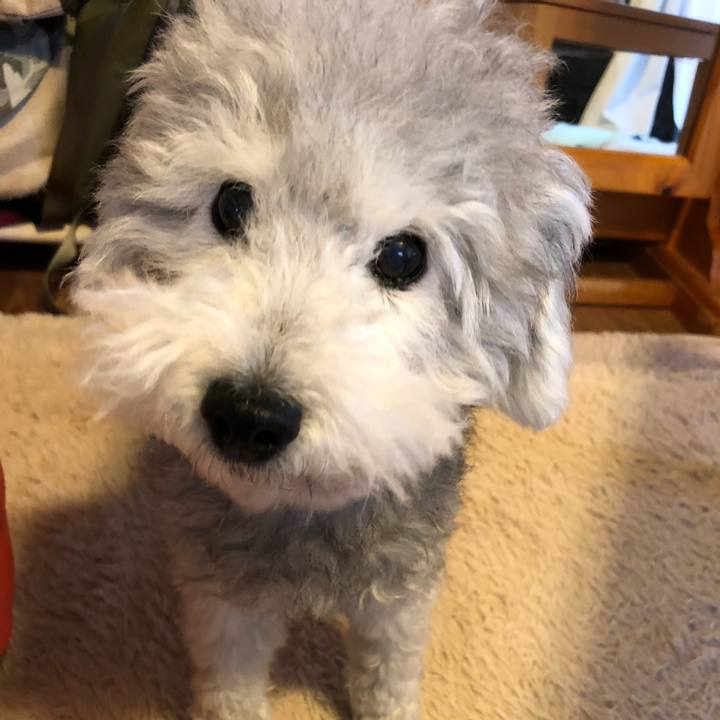 D11eb4ef 58d0 4d21 9c28 500c4cf5a9a6 1563403693966