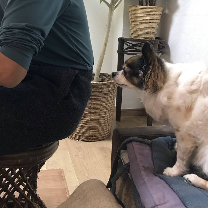 D11f0c28 5bf7 4551 86f9 341d5a452a94 1652365031564