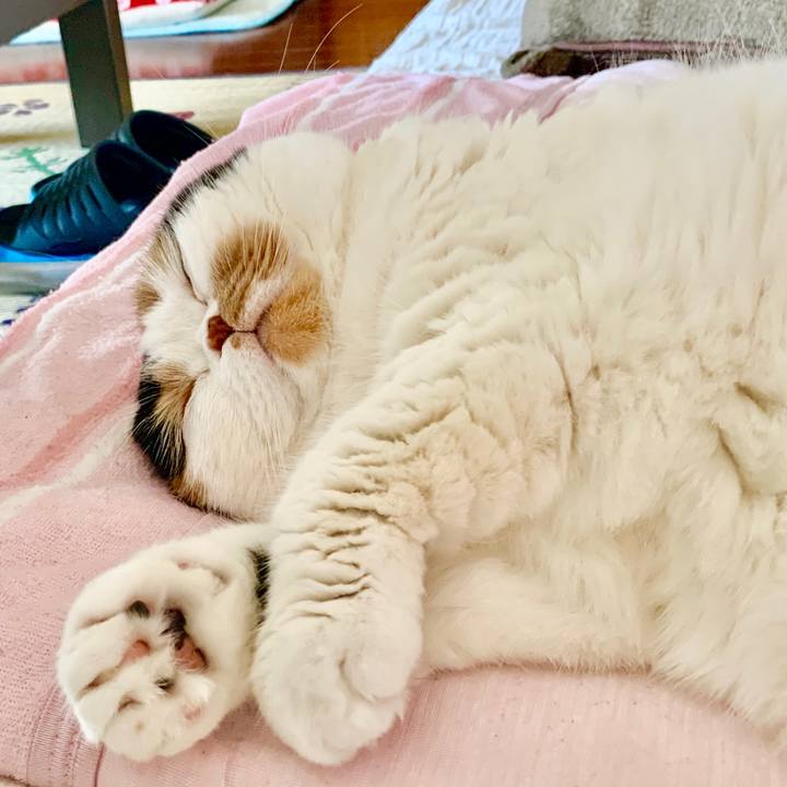 D11f0e3e 30f3 45d8 98dd 49bbdf8a2792 1581464643309