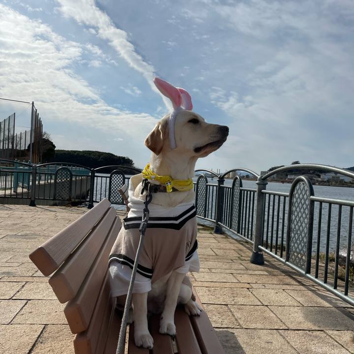 D11f116f 8ca9 4d9c bd03 3abb6b4bd557 1643860464325