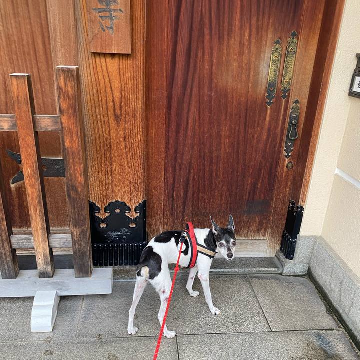 D11f38f9 5442 41a6 b4cc 670241799331 1631921606316