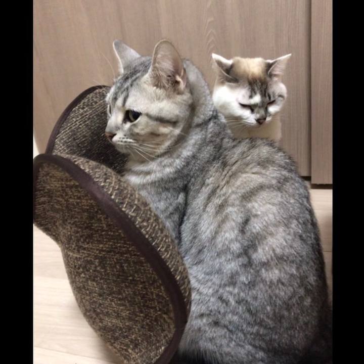 D11f5499 fb06 4239 9ac3 e45884a55daa 1520039746846