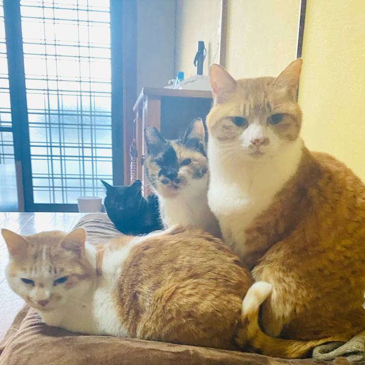 D11f565d 8e34 4559 9b08 4b7208d943fc 1677794244544