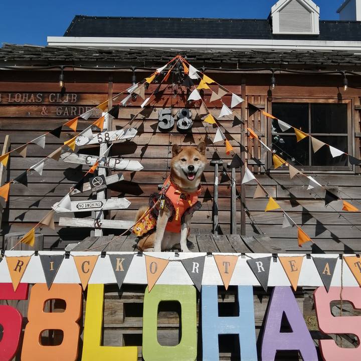 D11f7020 c852 4733 91dc 39c8bc1cc96f 1667106025319