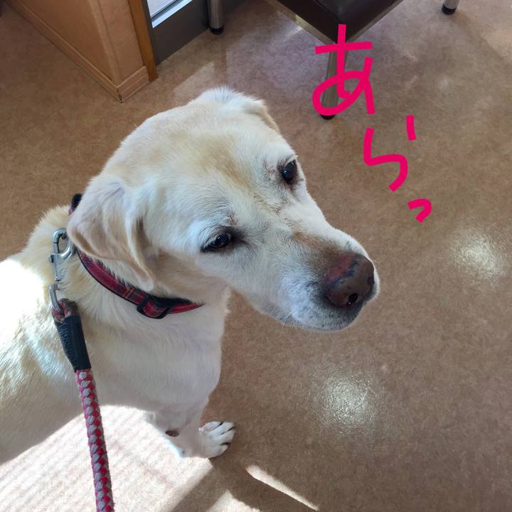 D11f7125 b44f 48d0 b232 664017563ce2 1510029151479