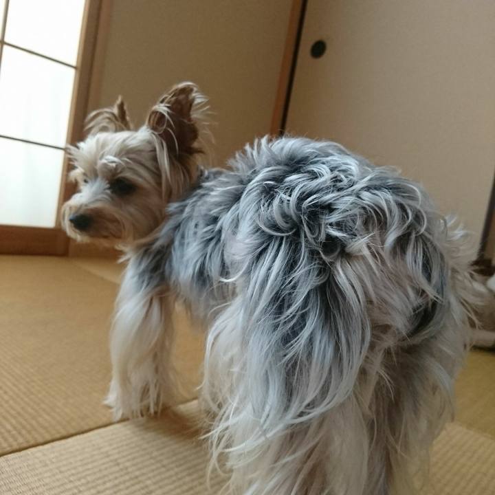 D11f9127 f248 458b 9ffb 128c0910e79a 1543532861120