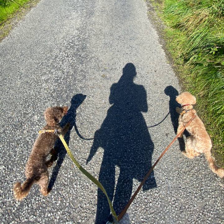 D11fdc0f b2fb 4d1c bf70 2f6eead2443b 1598517404390