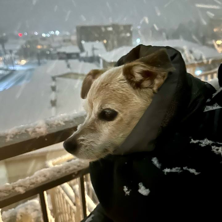 D11fe9e1 e623 4166 8944 873062dffb0e 1767352735838