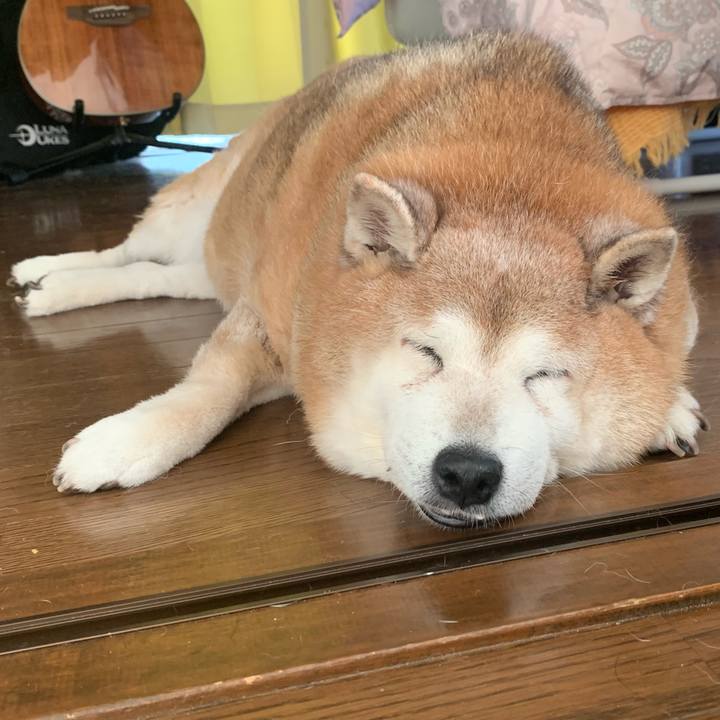 D11ff48f 8c82 4ab5 bfe3 9c9b4c2fea55 1632139709079