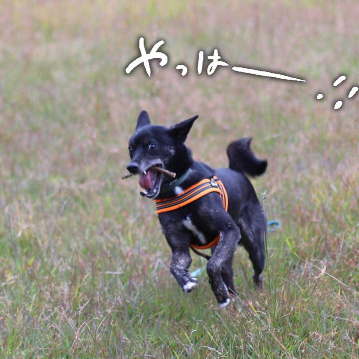 D12016d0 b1fb 4d3e b7c4 5c9349e250bd 1606994407221