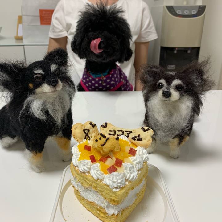 D1202c03 adfd 482a a40a ee53a91f4cc1 1557659604573