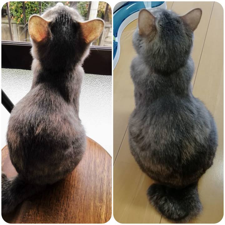 D12030f4 5f2e 4f51 b9b4 1684a8c0b39c 1549351080488