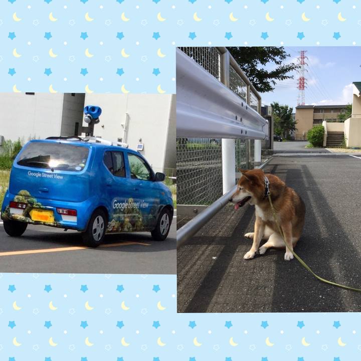 D120310b 4740 44cf a705 497f8aacbec5 1596416349877