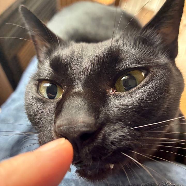 D1205756 5d9c 4fb8 be75 cf1cb84fcd72 1762050766723