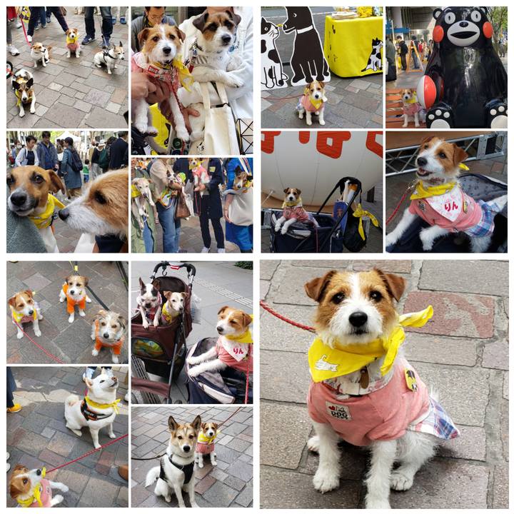 D1209e2b 0f83 4f43 a562 8c9abfff2fb3 1555760681580