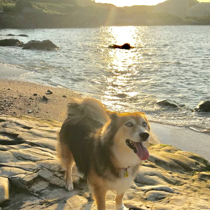 D1209ee3 d4a1 4a6d a701 2b5d08758099 1562749740647