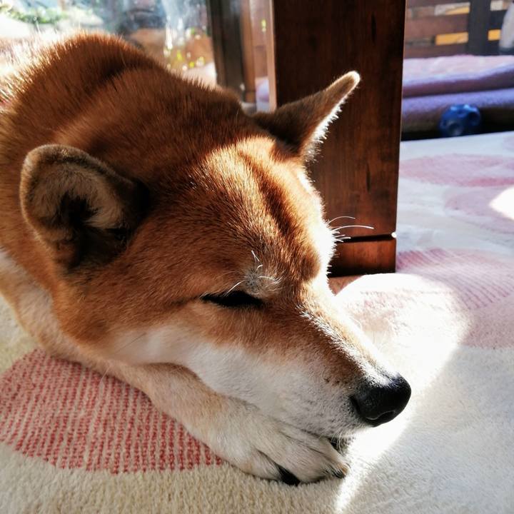 D120aec5 db3e 4cbd 9254 af7aca1e5096 1638508322546