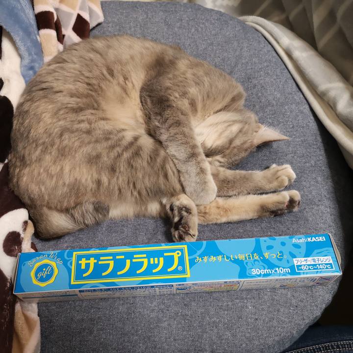 D120fd67 3df1 4290 8e26 360f22a82c79 1585264583698