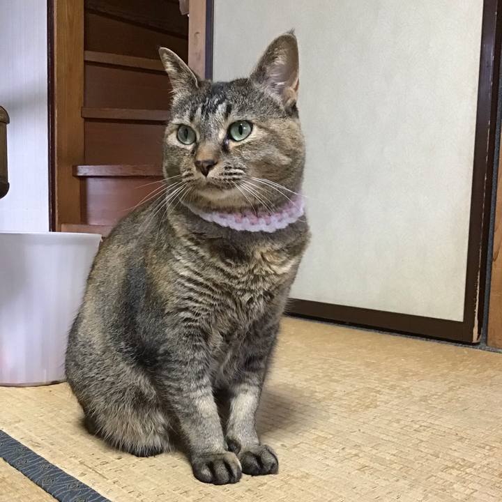 D1215e23 c636 42a7 9eda d32b4702b770 1750750487860