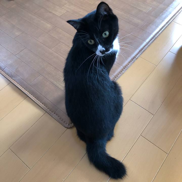 D1215f37 08c7 4fd7 8e76 57817921155a 1568864585728