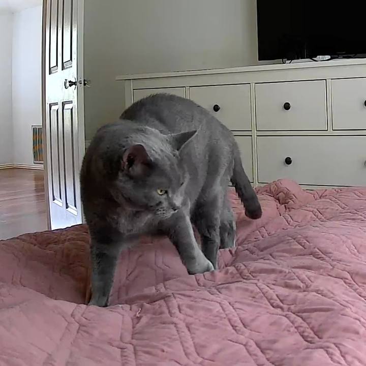 D121bf39 85df 4d74 a776 afd49566f071 1769550448956