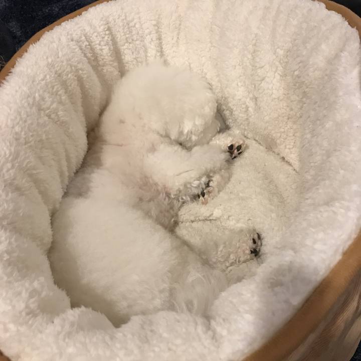 D121df25 3605 41b9 8349 305373788c16 1543840231390