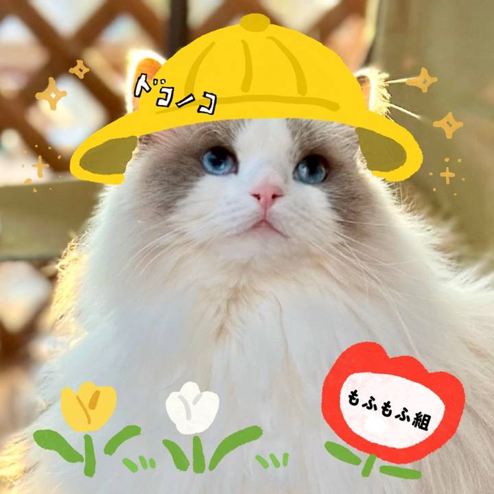 D121f414 7b81 43da b809 3104181b45b8 1712228494545