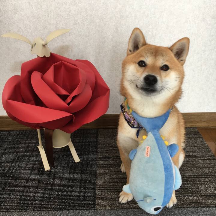 D12211a0 2afe 4b00 af92 27127e97deaa 1511847354196