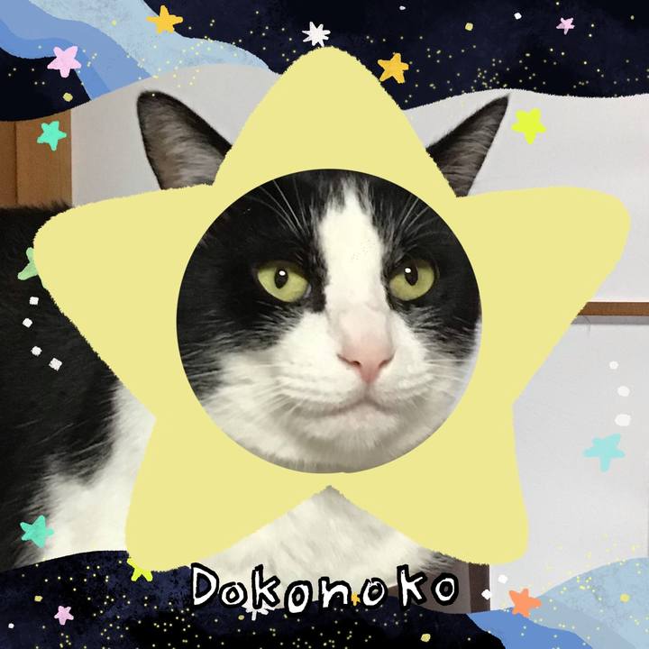 D12244a2 819a 491b b98c a19da905d244 1720787309230