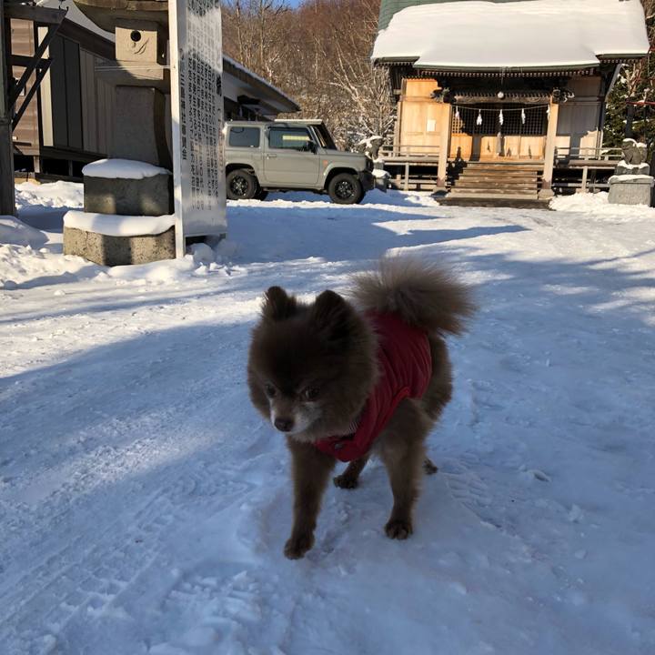 D12290f4 3d3b 464a 9888 3e8d6ad18c51 1578235159613