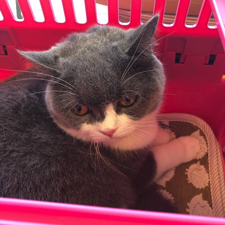 D122e9c7 3092 47ad b12e 30fb22798896 1567818284849