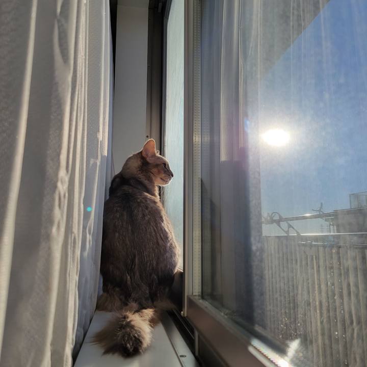 D12306f8 e472 42f2 83cd 35fb6b062621 1674879686714