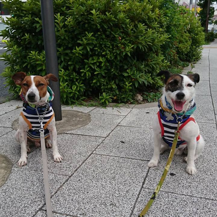 D123134e dc3f 486d 9f20 d5fafc245f4f 1561160507249