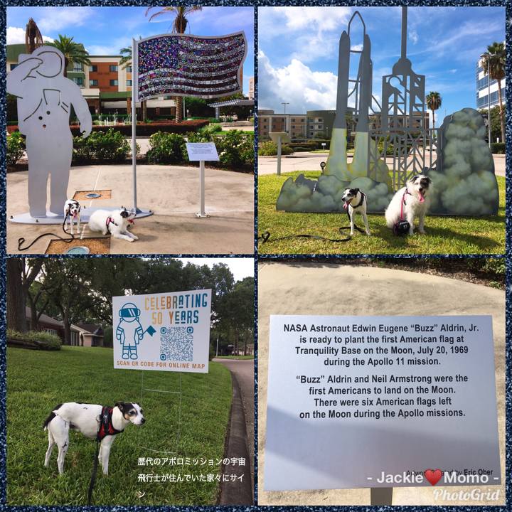 D123559c 0f47 48fc a6c7 0915865fe978 1563662979287