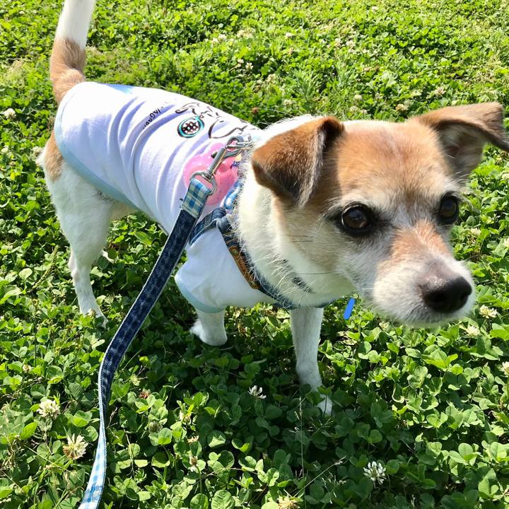 D1237239 901d 4ab6 b048 5183afe0fe82 1623210049893