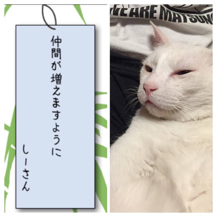 D123a455 7a88 4d5d aab6 2e4c41cee0ee 1562517363464