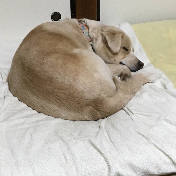 D123e22c 9d0f 46d8 953c def2e043dc42 1541253588396