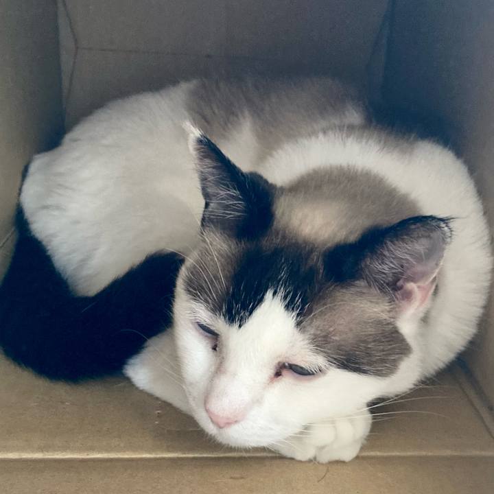 D123ee71 8747 498d 90c3 7ca4e657a71d 1658712685405