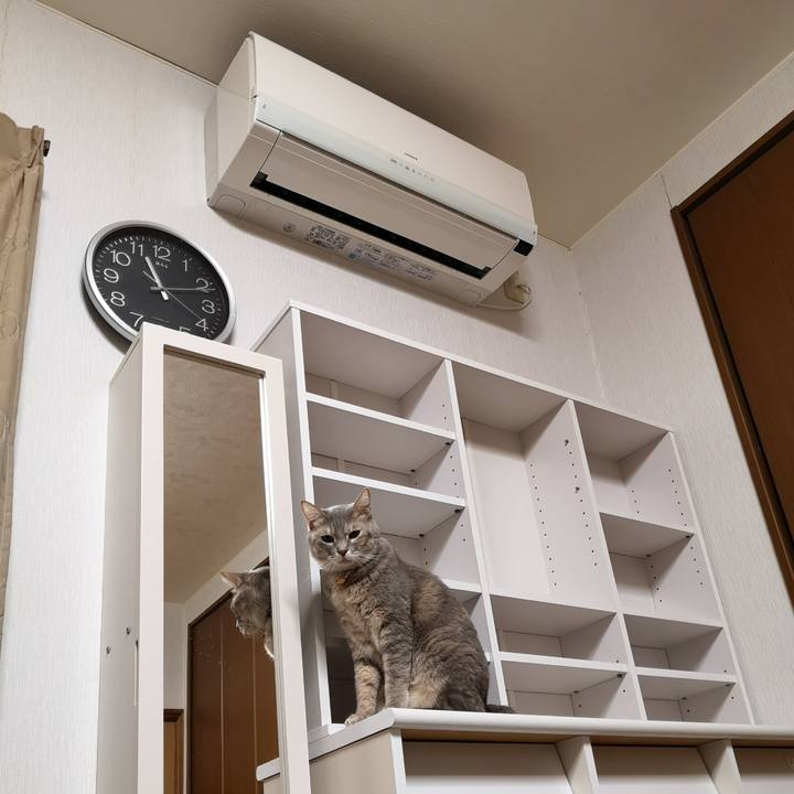 D124211d bd45 4735 9e3d 0e86ff9c06a3 1574820873435