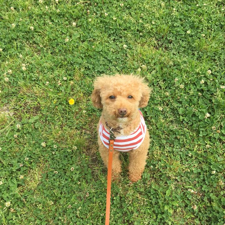 D12457d9 b255 46d9 9745 7b99080e8dd4 1527123755634