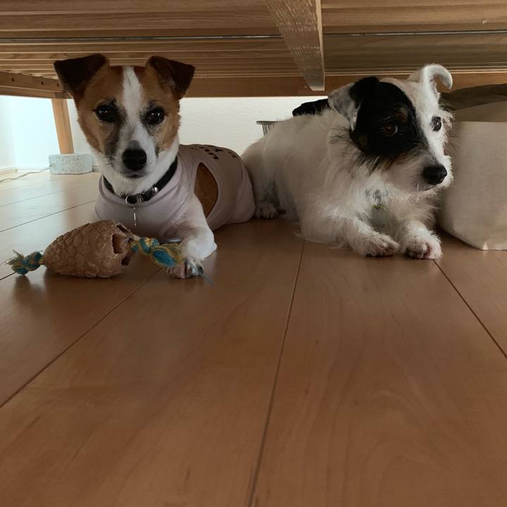 D1249128 47c1 487b ad28 0584aaa771ca 1564617415829