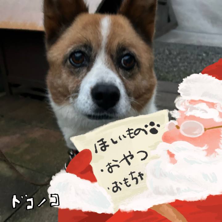 D1249bf4 243b 4397 8ad7 b60b0589e493 1729197729923