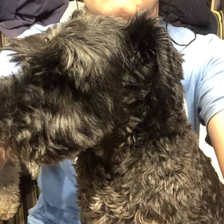 D124a5e0 d27c 4440 b250 209534a31169 1531317503227