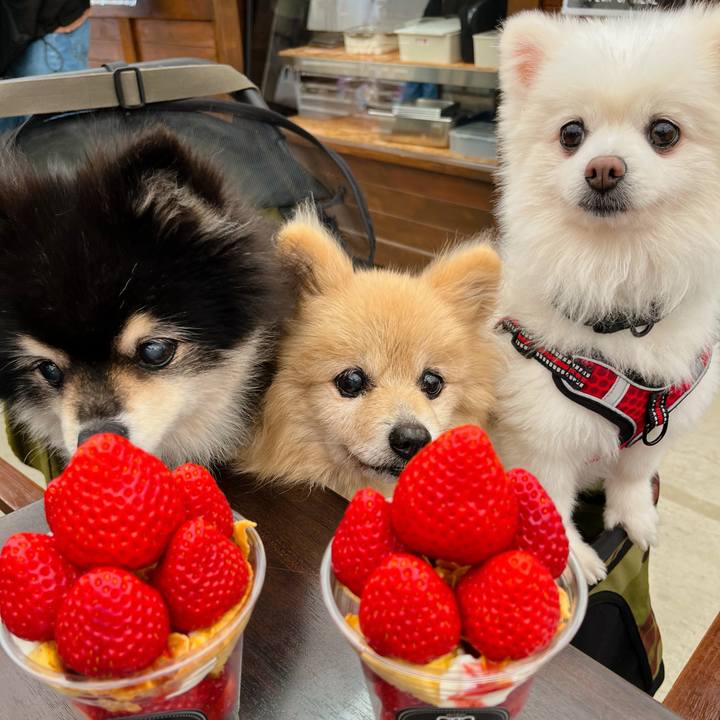 D124b63b e1a6 435f b637 66b0413c98a0 1772365738554