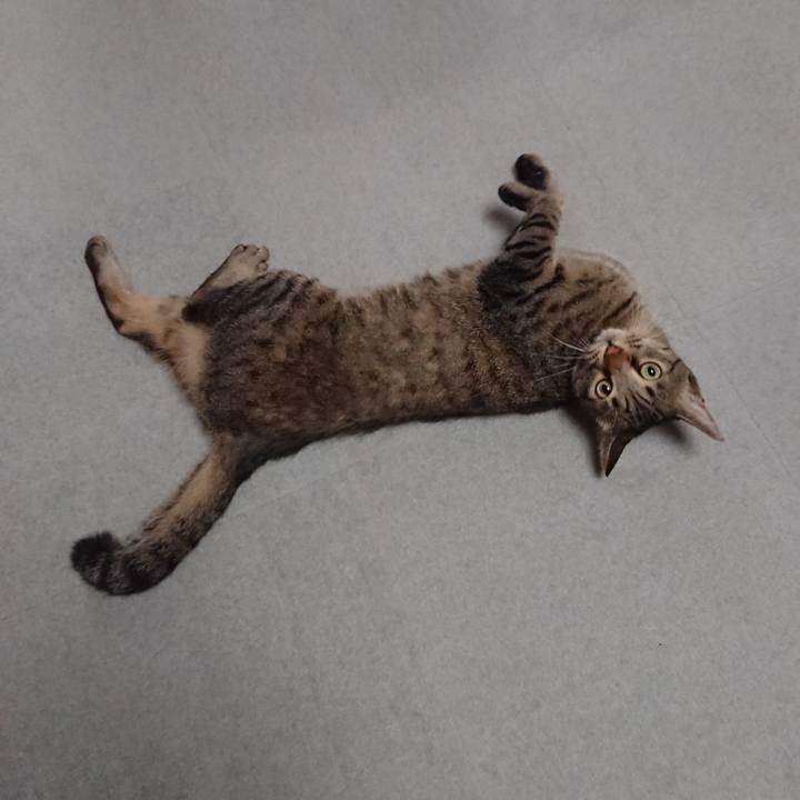 D124c3e7 5f9a 400f bb34 980e89addf04 1564743415309