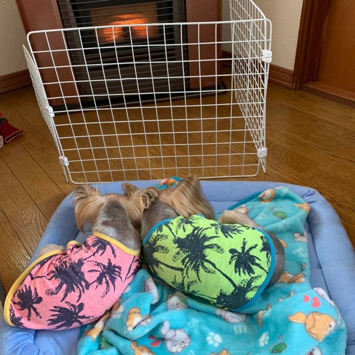 D124fc81 610a 4d13 b3e6 c09c0a8d9fe1 1608282381188