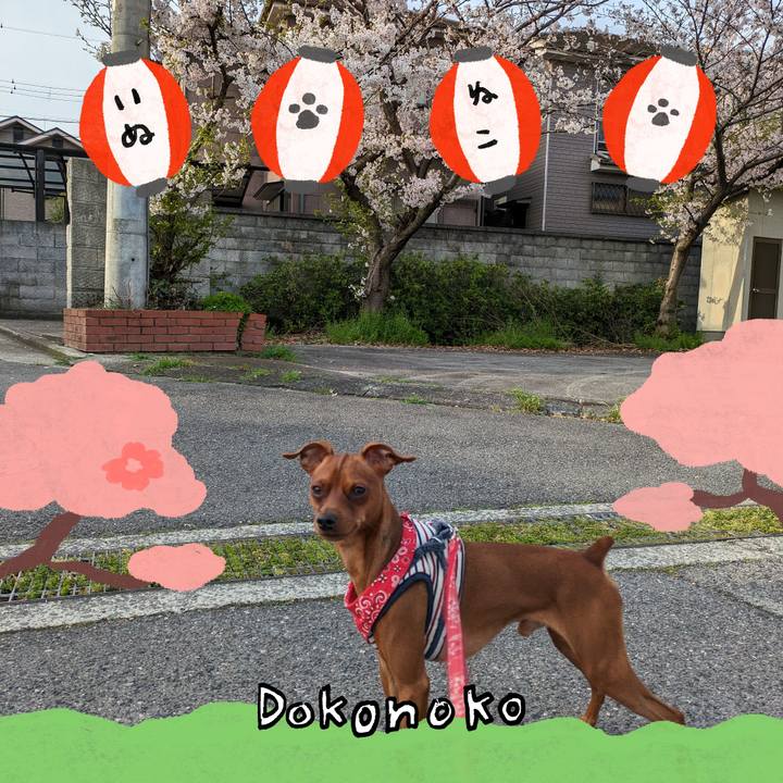 D124fd78 e22e 4bde a8b7 d359569189ba 1712652051506