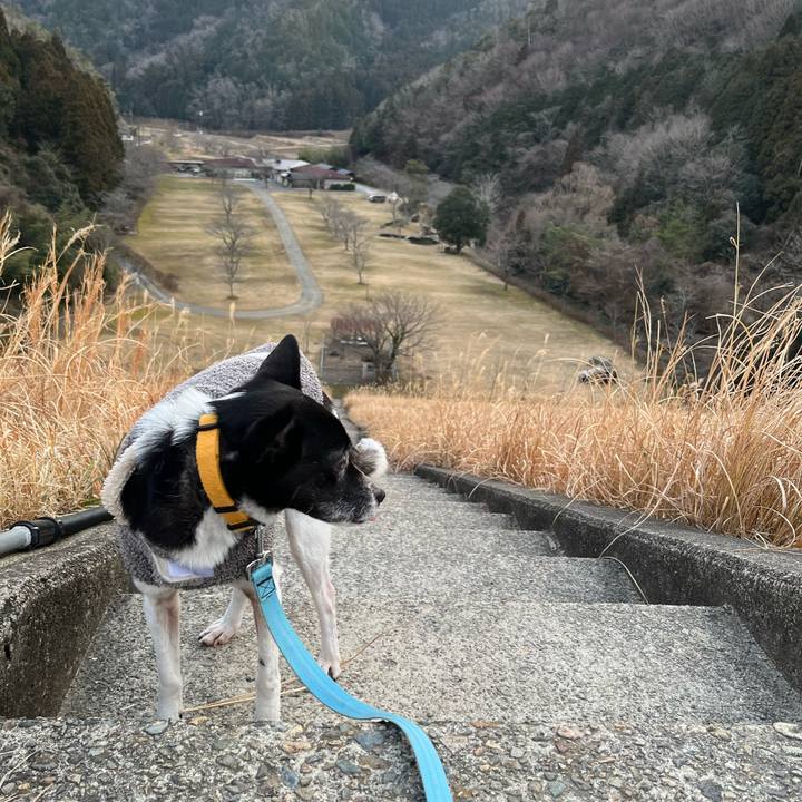 D12514e4 5012 4d6f 895d d62a4ca66adc 1738592209244